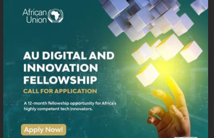 African Union Digital and Innovation Fellowship Program